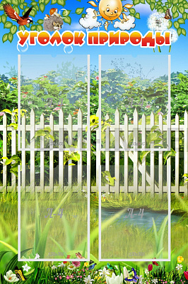 Уголок природы