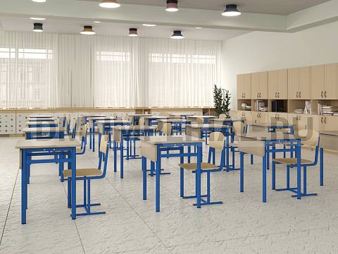 Оснащение школ, Школьные парты, Стол ученический 1-но местный нерегулируемый ЭРУДИТ МШ-АШП-005.1