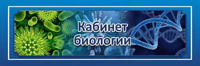 "Кабинет биологии", кабинетная табличка