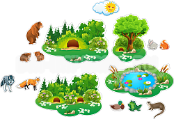 "Кто где живет". Комплект магнитных стендов