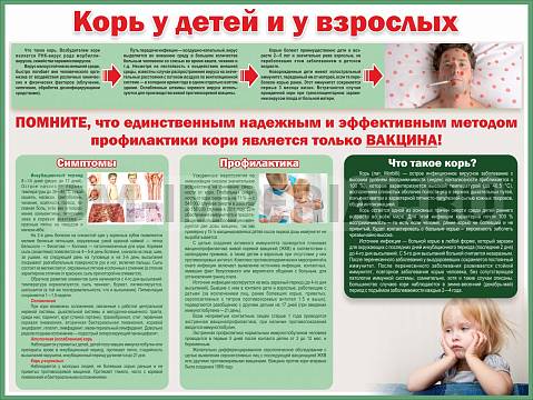 Информационные стенды, Оформление стендов для школы, Корь у детей и взрослых ШК-2716 Информационные стенды, Оформление стендов для школы, Корь у детей и взрослых ШК-2716