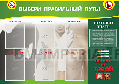 Выбери правильный путь!