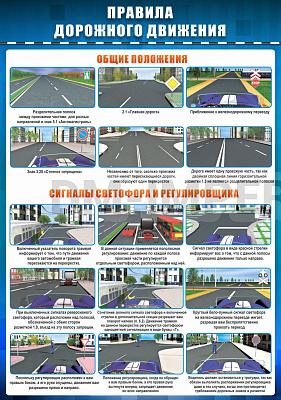 ПДД .Общие положения. Сигналы светофора и регулировщика