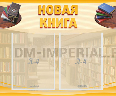 Новая книга