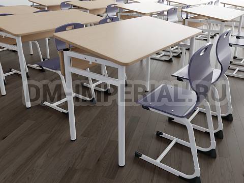 Оснащение школ, Школьные парты, Стол ученический 2-х местный нерегулируемый с наклонной столешницей ЭРУДИТ МШ-АШП-005.2.Н