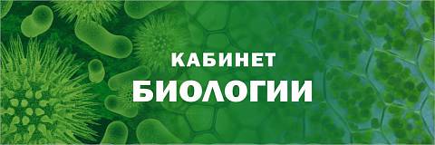 Информационные стенды, Оформление стендов для школы, "Кабинет биологии", кабинетная табличка ШК-0167