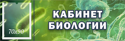 "Кабинет биологии", кабинетная табличка с карманом