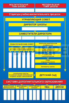 Структура школы