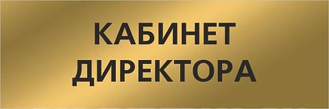 Информационные стенды, Оформление стендов для школы, "Кабинет директора", кабинетная табличка "матовое золото" ШК-0172