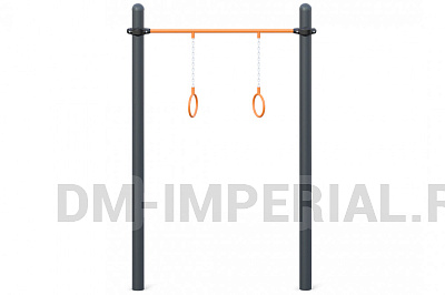 Турник с кольцами W-02-008