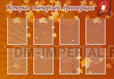 "История пионерской организации"
