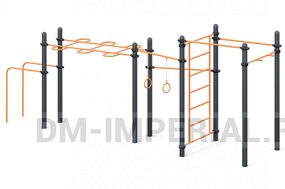 Три разноуровневых турника, брусья, рукоход, шведская стенка,  кольца W-02-018 