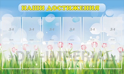 Наши достижения